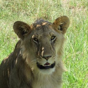 Meet your Posher, Bryan